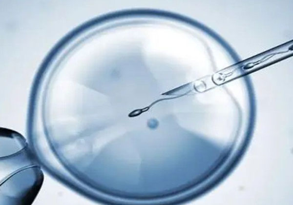 多发性子宫肌瘤,精子畸形能做试管婴儿?