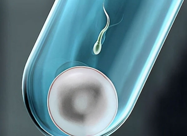 试管婴儿囊胚怎么算预产期?
