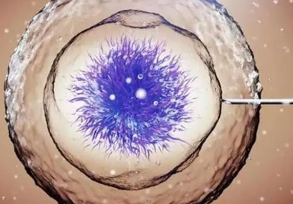 胚胎一般 养囊能成功吗 6个能养成几个?